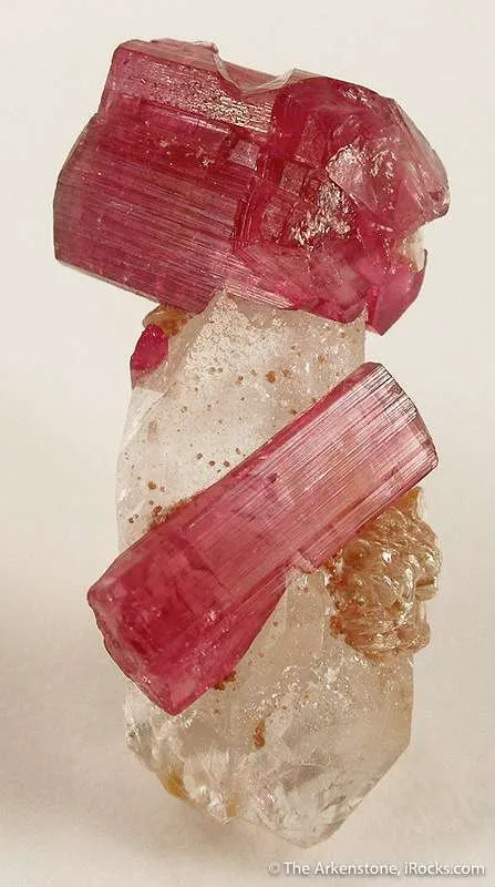 Tourmaline Var. Rubellite on Quartz - image 2