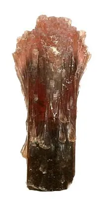 Tourmaline (Var: Rubellite), Schorl image