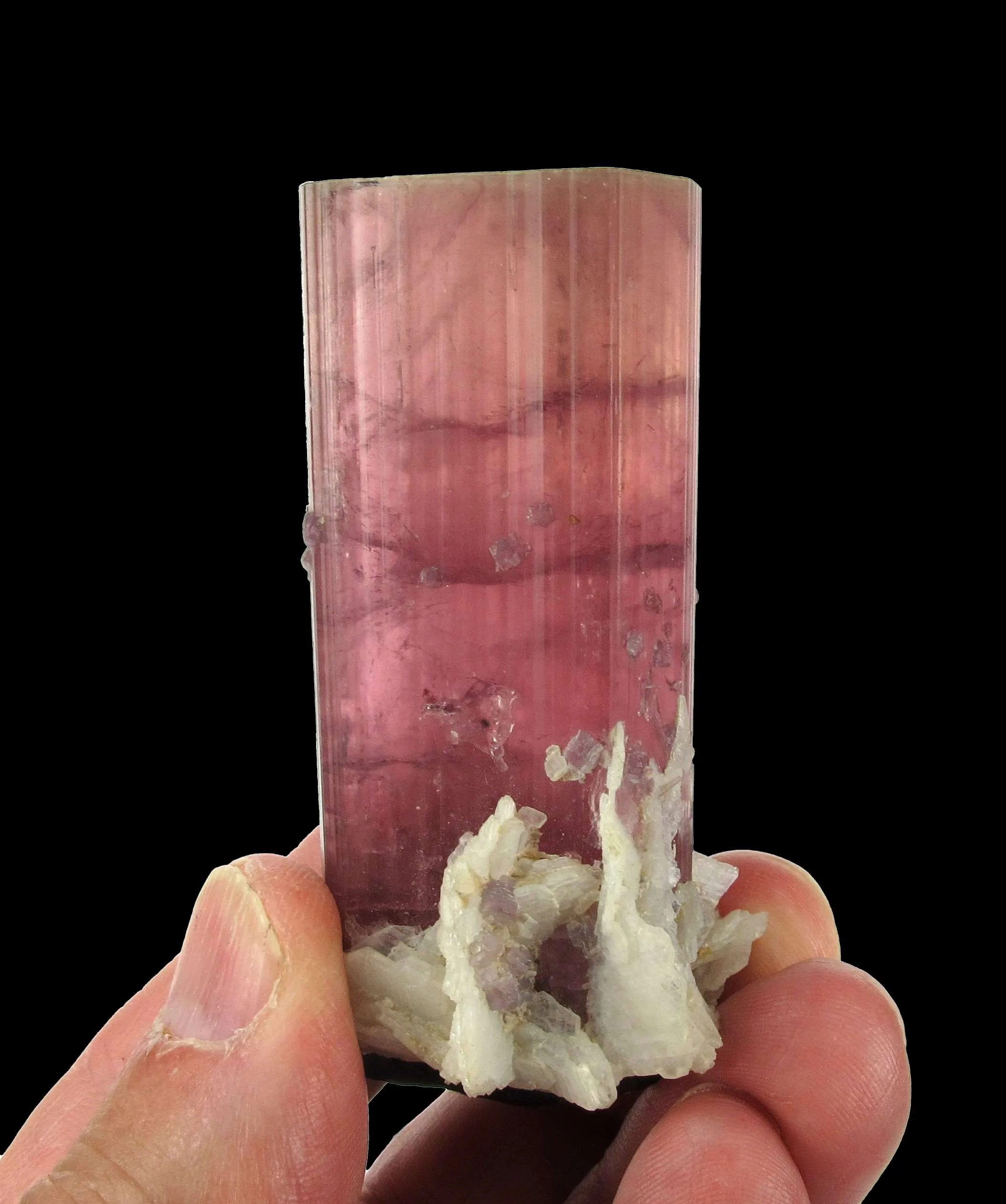 Tourmaline var. Rubellite with Albite and Lepidolite - image 3