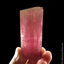 Tourmaline var. Rubellite with Albite and Lepidolite - image 1