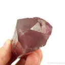 Tourmaline var. Rubellite with Albite and Lepidolite - image 3