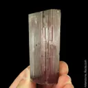 Tourmaline var. Rubellite with Albite and Lepidolite - image 4