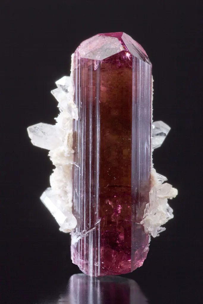 Tourmaline Var. Rubellite With Quartz image