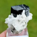 Tourmaline var. Schorl & Albite var. Cleavelandite 110 grams - Shigar Valley, Pakistan - image 1