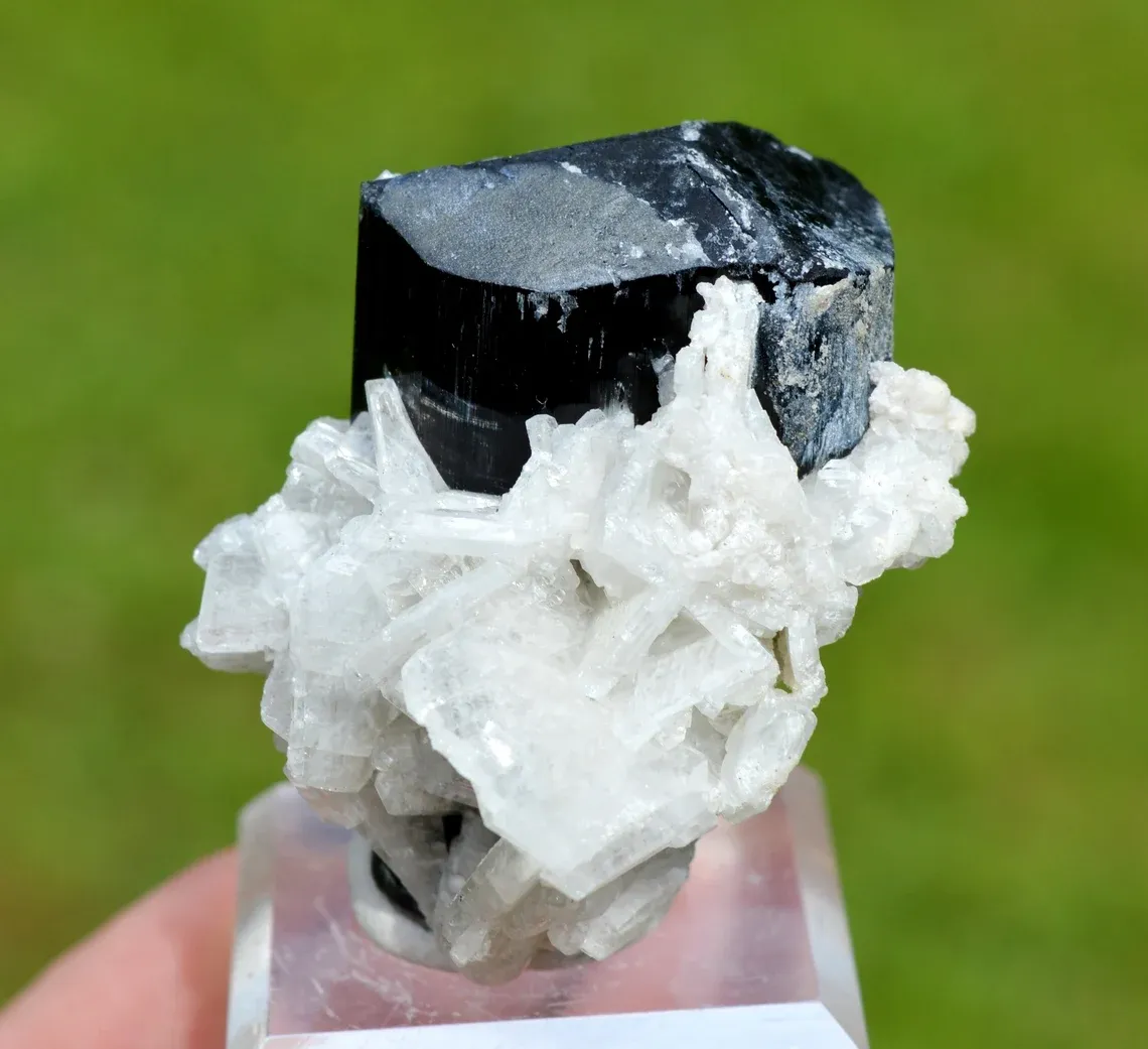 Tourmaline var. Schorl & Albite var. Cleavelandite 110 grams - Shigar Valley, Pakistan - image 1