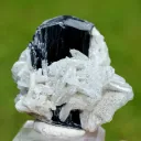 Tourmaline var. Schorl & Albite var. Cleavelandite 110 grams - Shigar Valley, Pakistan - image 2