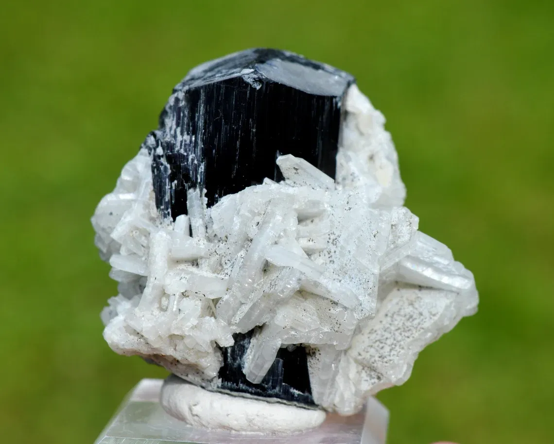 Tourmaline var. Schorl & Albite var. Cleavelandite 110 grams - Shigar Valley, Pakistan - image 2