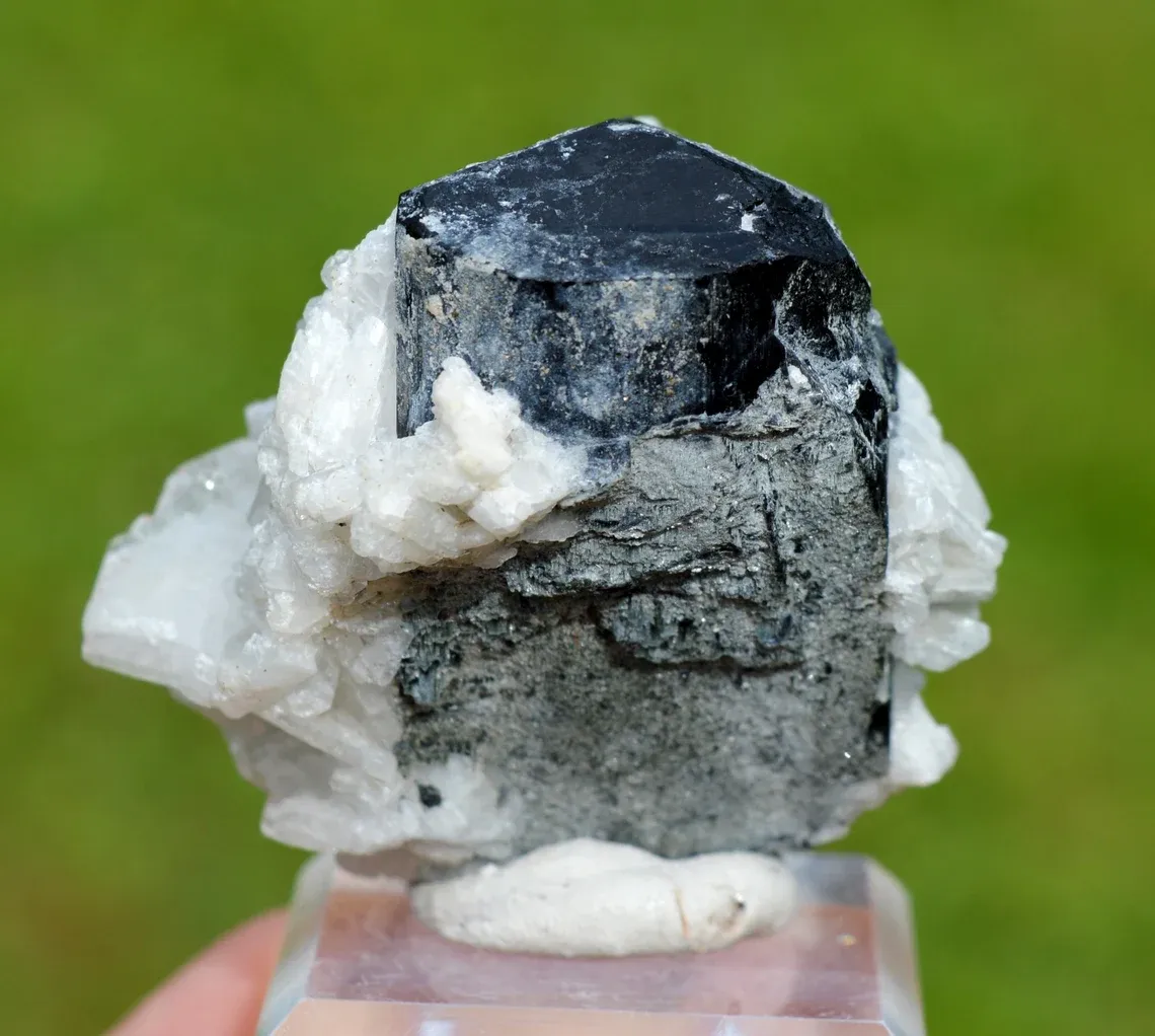 Tourmaline var. Schorl & Albite var. Cleavelandite 110 grams - Shigar Valley, Pakistan - image 3