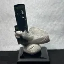 Tourmaline var. Schorl-Elbaite with Albite - image 6