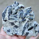 Tourmaline var. Schorl & Muscovite 482 grams - Thompson Peak, Plumas Co., California, USA - image 1