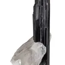 Tourmaline var. Schorl with Quartz - image 4