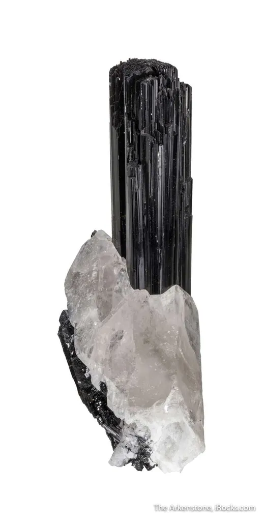 Tourmaline var. Schorl with Quartz - image 5