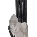 Tourmaline var. Schorl with Quartz - image 5