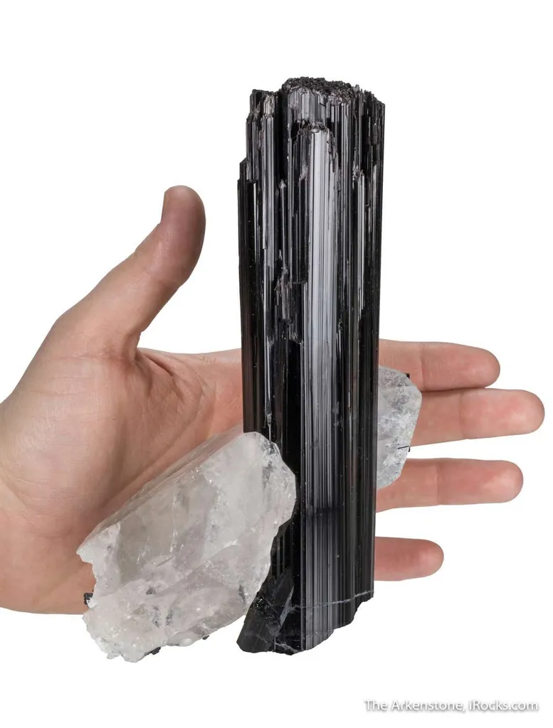Tourmaline var. Schorl with Quartz image