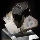 Tourmaline Var. Schorlite, Muscovite Orthosis - image 2