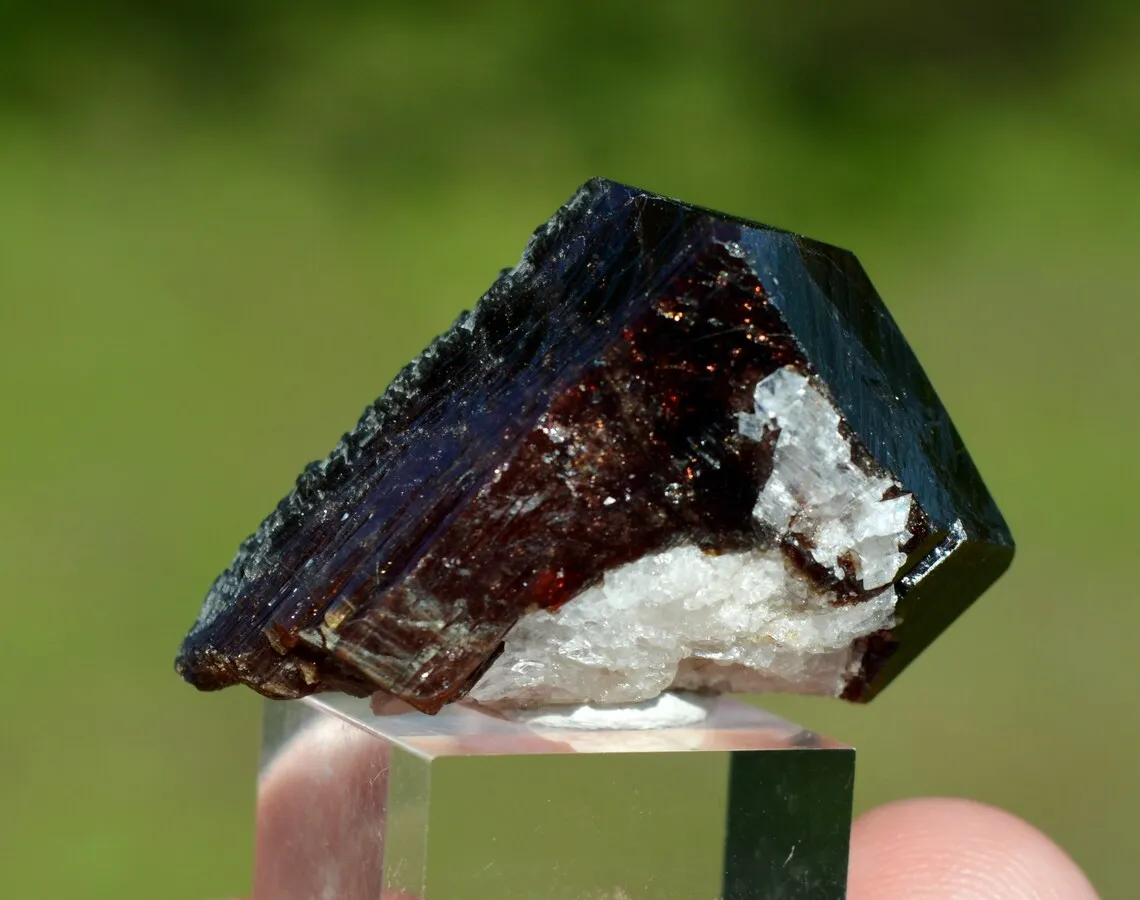 Tourmaline var. Uvite 27 grams - Pedra Preta pit, Serra das Éguas, Brumado, Bahia, Brazil - image 2