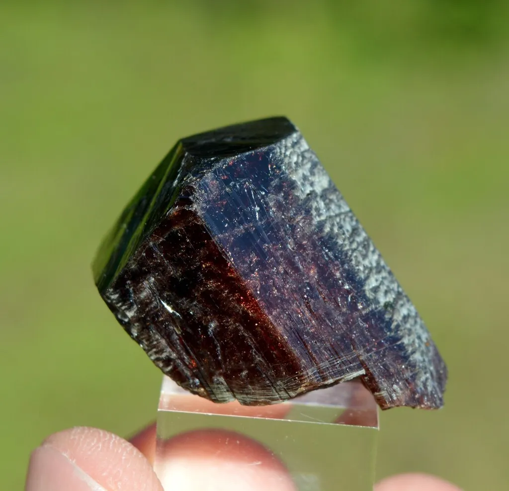 Tourmaline var. Uvite 27 grams - Pedra Preta pit, Serra das Éguas, Brumado, Bahia, Brazil image