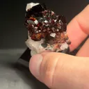 Tourmaline var. Uvite - image 9