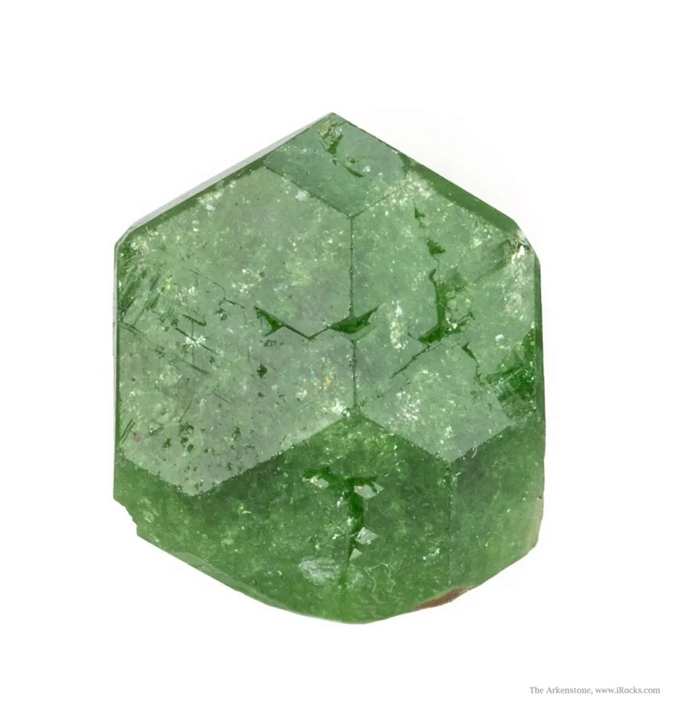 Tourmaline Var. Vanadian Uvite image
