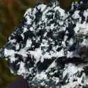 Tourmaline var. Verdelite & Quartz 145 grams - Minas Gerais, Brazil - image 5