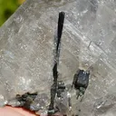 Tourmaline var. Verdelite & Quartz - 2710 grams - Minas Gerais, Brazil - image 8