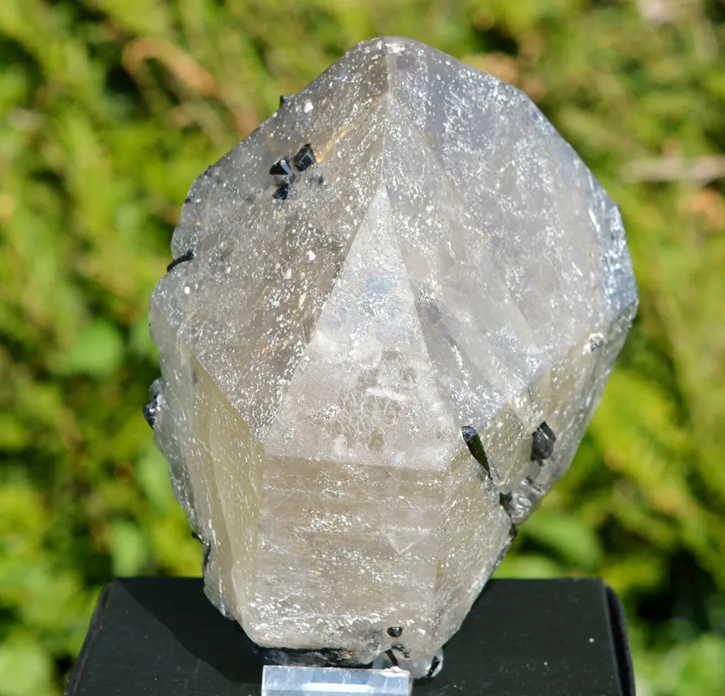 Tourmaline var. Verdelite & Quartz - 2710 grams - Minas Gerais, Brazil - image 3