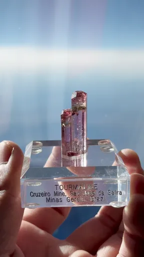 specimen video