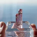 specimen video