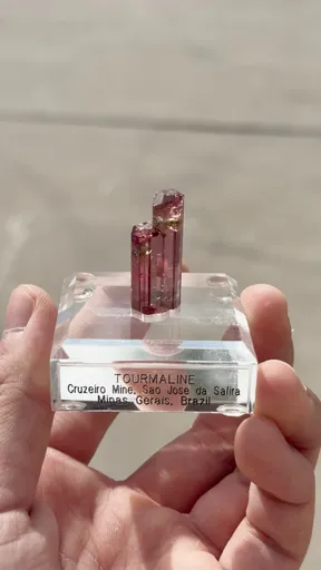 specimen video