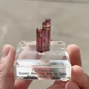specimen video