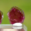 Tourmaline "Watermelon" 22 carats - Pederneira mine, São José da Safira, Minas Gerais, Brazil - image 4