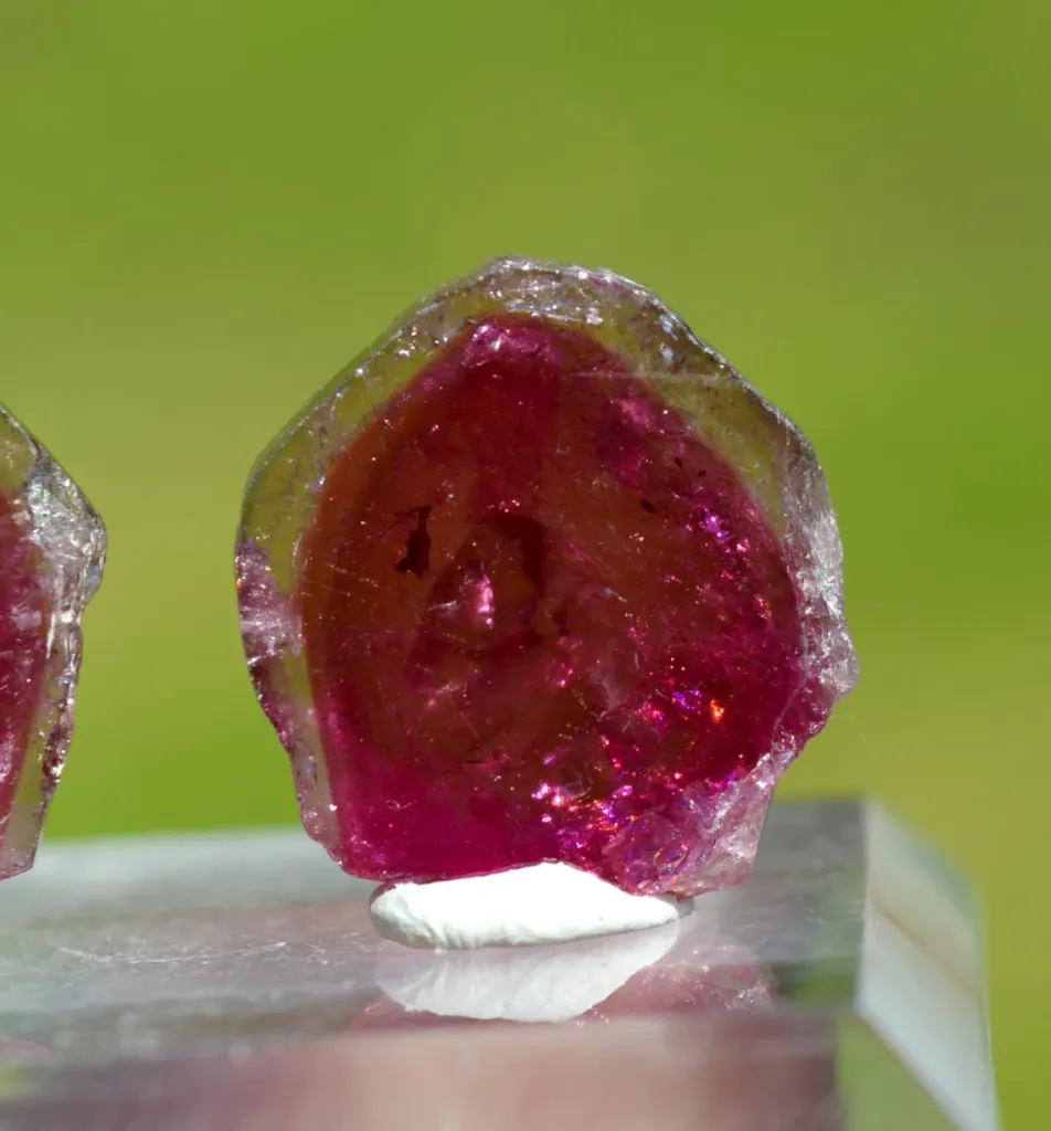 Tourmaline "Watermelon" 22 carats - Pederneira mine, São José da Safira, Minas Gerais, Brazil - image 6