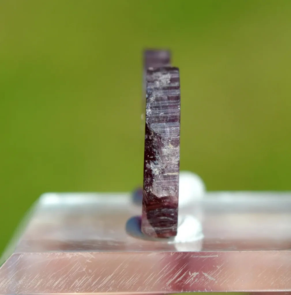 Tourmaline "Watermelon" 22 carats - Pederneira mine, São José da Safira, Minas Gerais, Brazil - image 9