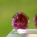 Tourmaline "Watermelon" 22 carats - Pederneira mine, São José da Safira, Minas Gerais, Brazil - image 7