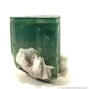 Tourmaline With Albite - image 1