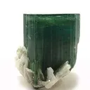 Tourmaline With Albite - image 2