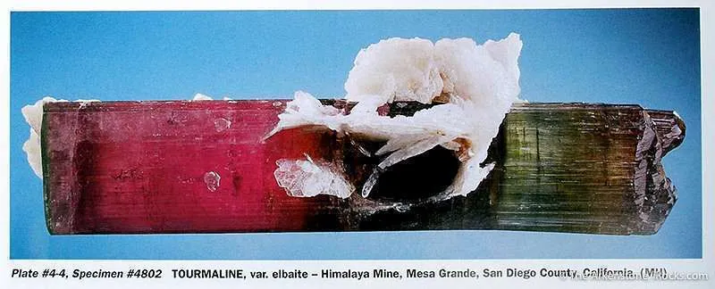 Tourmaline With Albite image