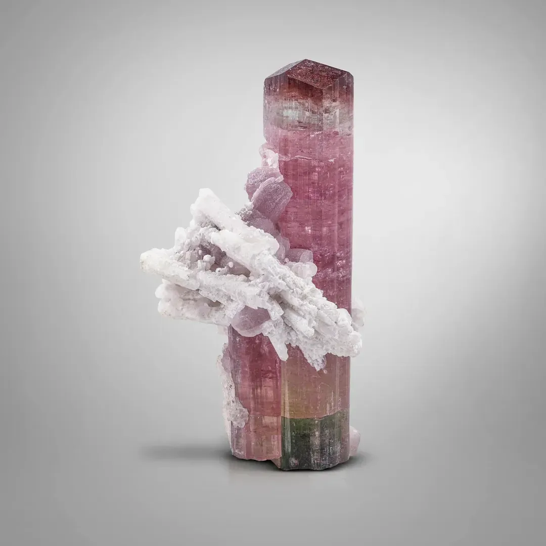 Tourmaline with Albite - image 2