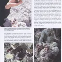 Tourmaline with Albite and Laumontite (illustrated) - image 4