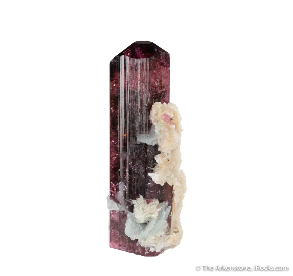 Tourmaline with Albite and Laumontite (illustrated) image