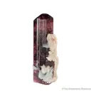 Tourmaline with Albite and Laumontite (illustrated) - image 1