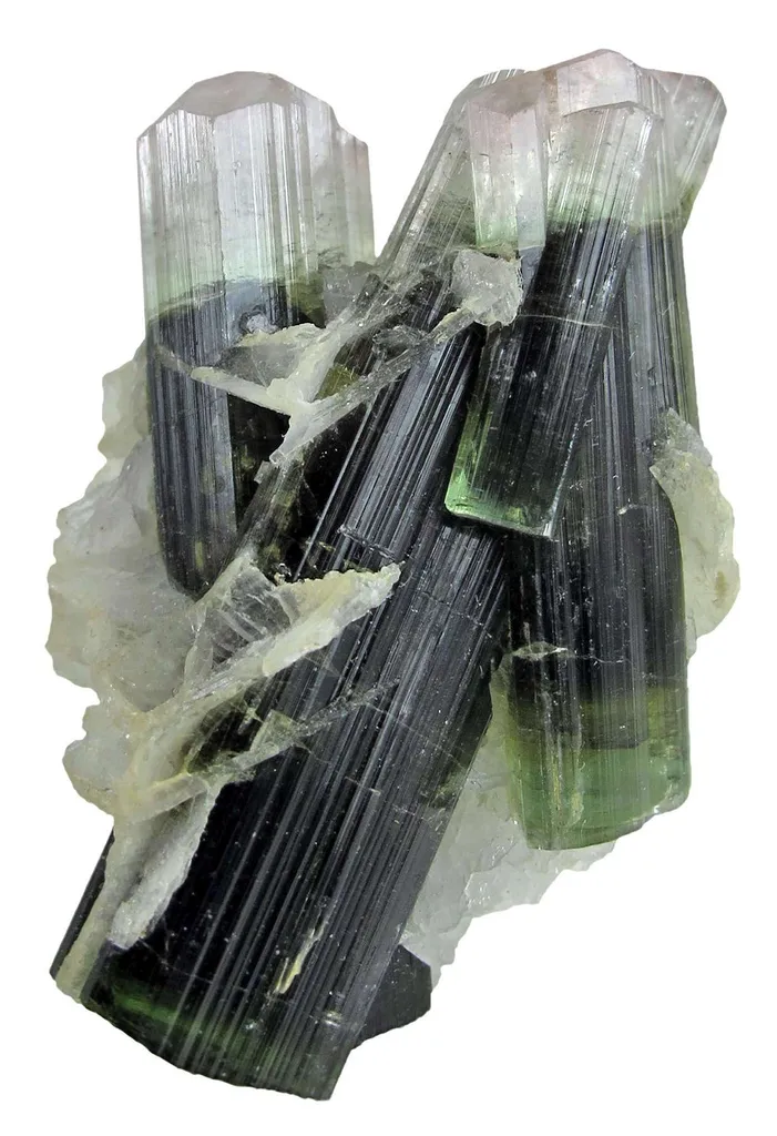 Tourmaline With Albite image