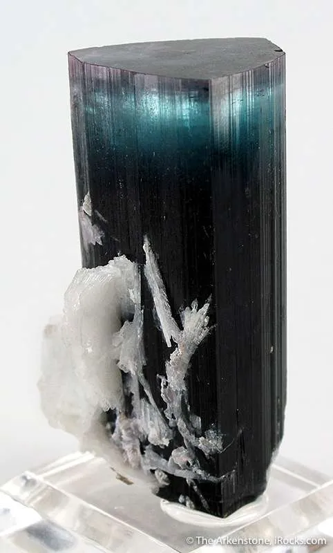 Tourmaline With Albite image