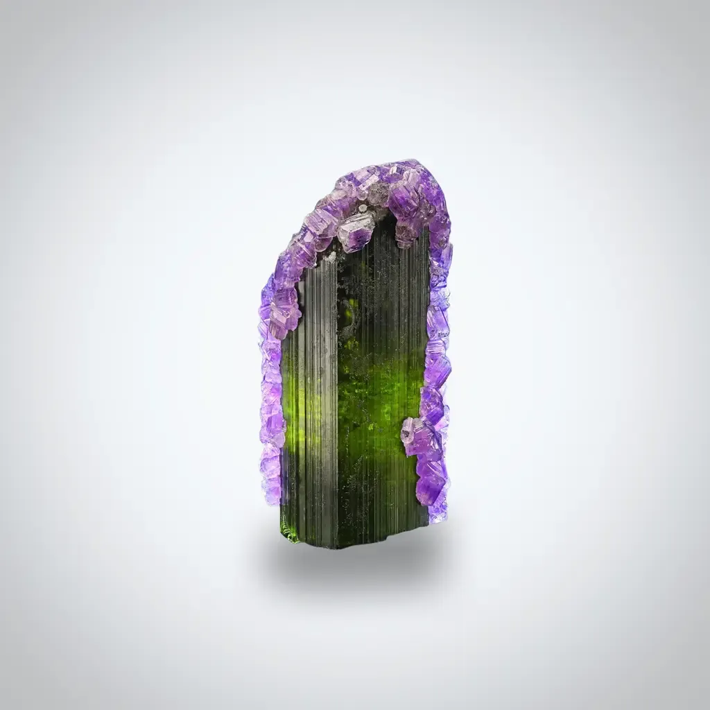 Tourmaline with Apatite - image 5