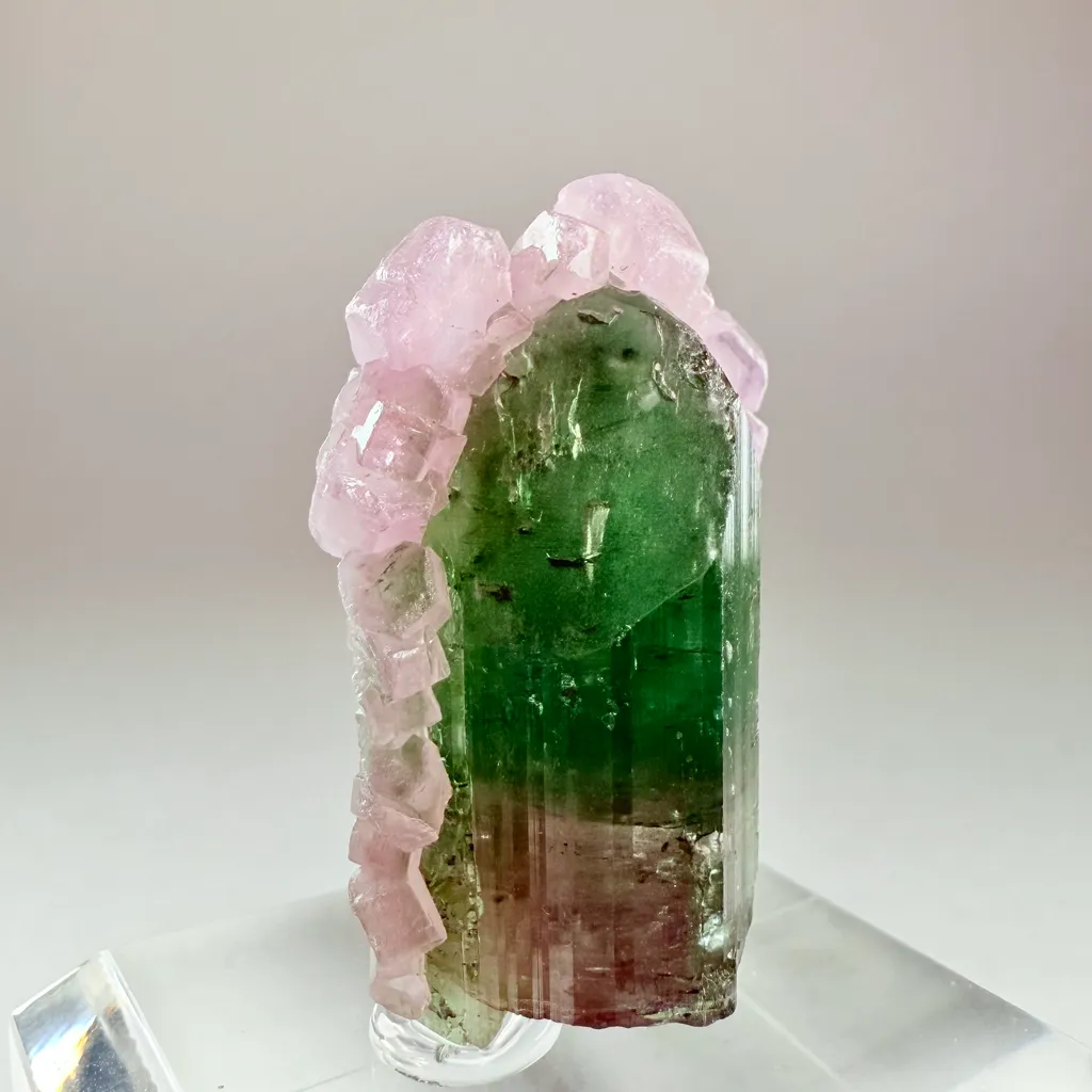 Tourmaline with Apatite - image 4