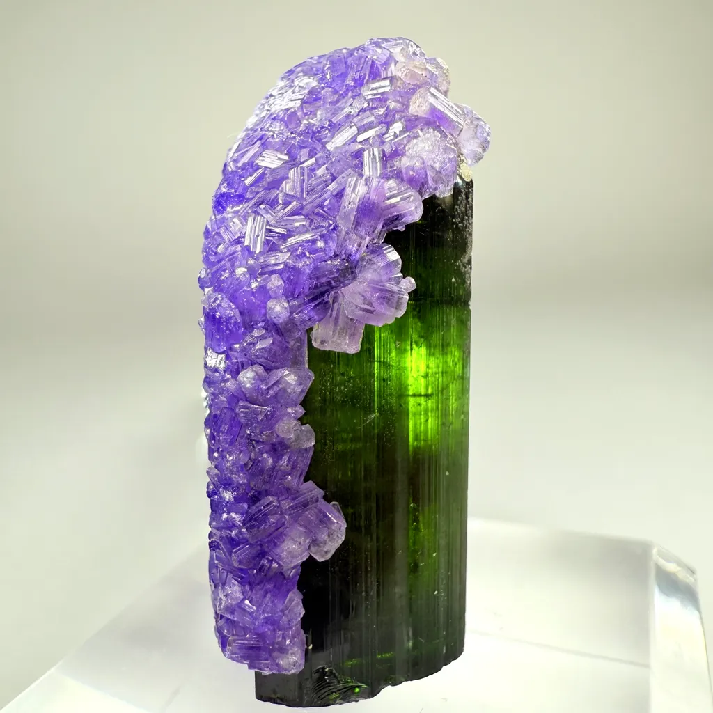 Tourmaline with Apatite - image 2