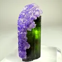 Tourmaline with Apatite - image 2