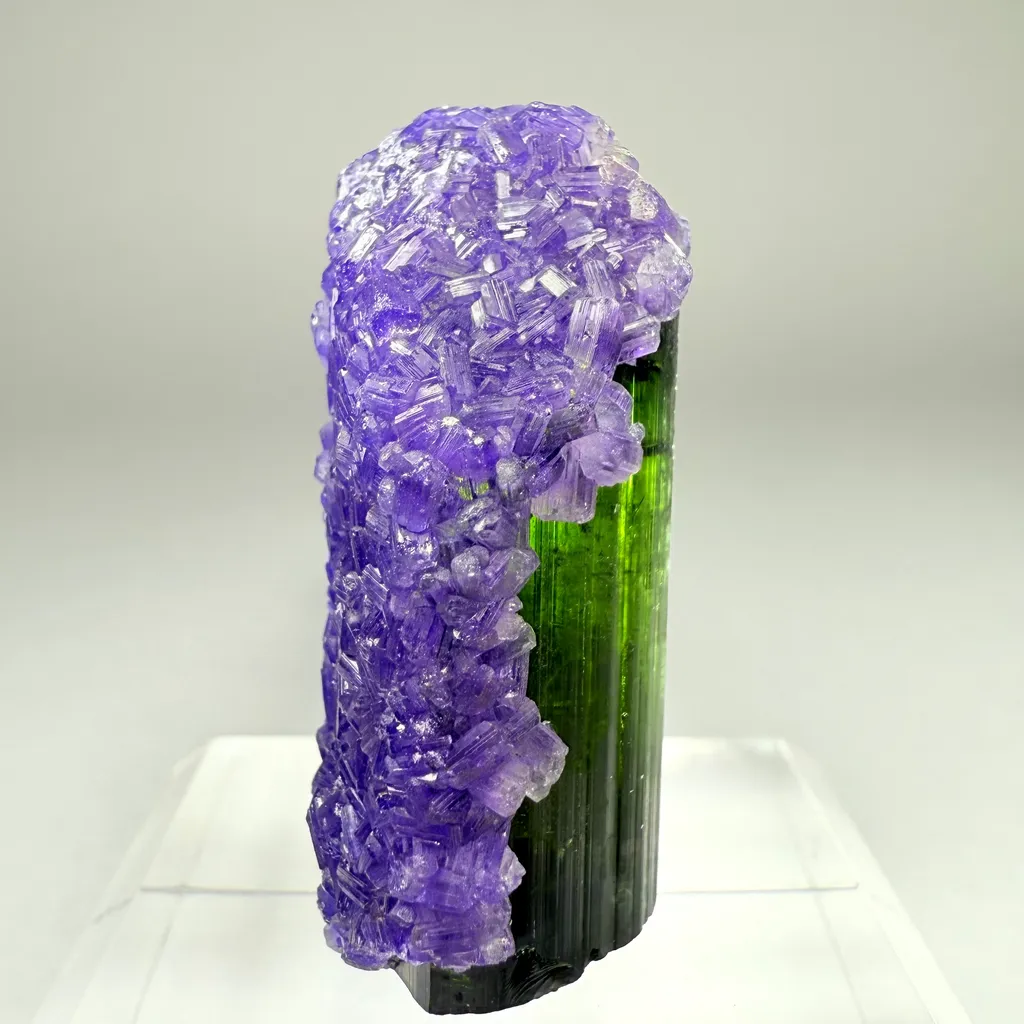 Tourmaline with Apatite - image 3