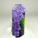 Tourmaline with Apatite - image 3