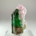 Tourmaline with Apatite - image 1